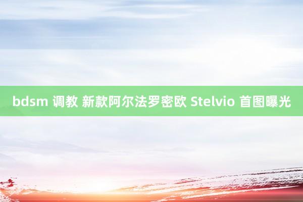 bdsm 调教 新款阿尔法罗密欧 Stelvio 首图曝光