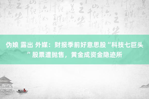 伪娘 露出 外媒：财报季前好意思股“科技七巨头”股票遭抛售，黄金成资金隐迹所