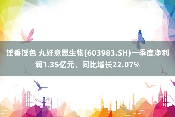 淫香淫色 丸好意思生物(603983.SH)一季度净利润1.35亿元，同比增长22.07%