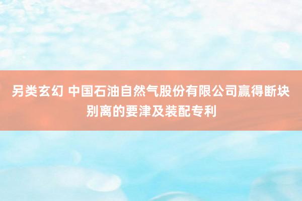 另类玄幻 中国石油自然气股份有限公司赢得断块别离的要津及装配专利