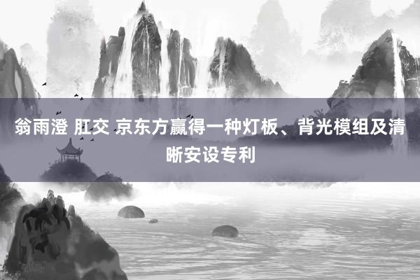 翁雨澄 肛交 京东方赢得一种灯板、背光模组及清晰安设专利