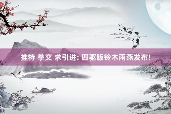 推特 拳交 求引进: 四驱版铃木雨燕发布!