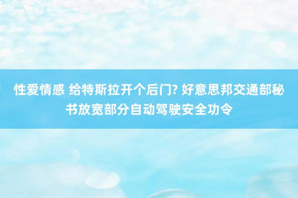 性爱情感 给特斯拉开个后门? 好意思邦交通部秘书放宽部分自动驾驶安全功令
