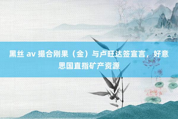 黑丝 av 撮合刚果（金）与卢旺达签宣言，好意思国直指矿产资源