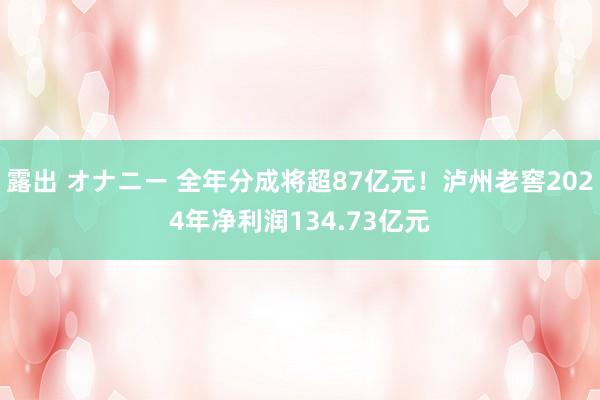 露出 オナニー 全年分成将超87亿元！泸州老窖2024年净利润134.73亿元